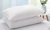 Peace Nest 2 Pack White Goose Feather and Down Pillows