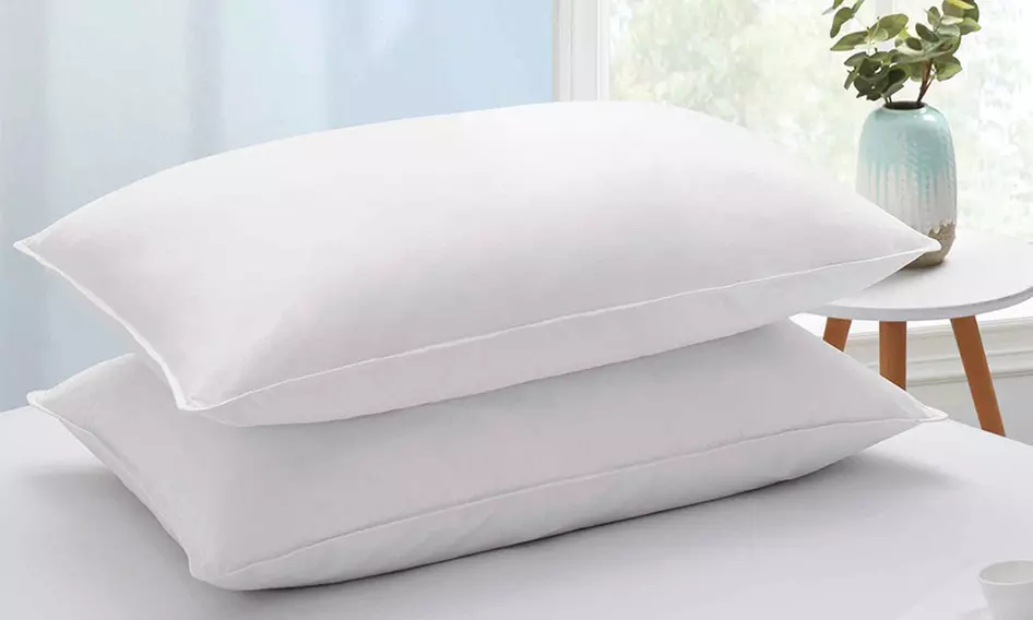 Peace Nest 2 Pack White Goose Feather and Down Pillows