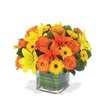 Image 5: Blooms Today Fall Flower Bouquets Same Day Delivery 72% Off