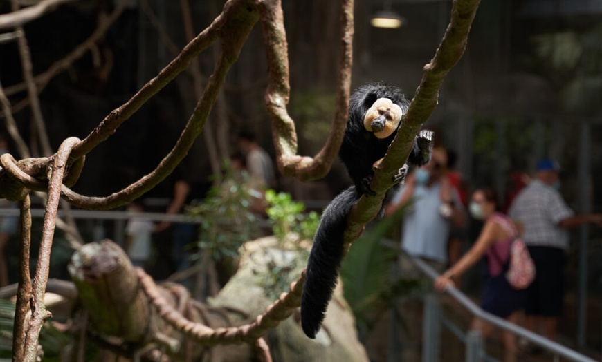 Image 2: Granada: 1 o 2 noches con desayuno y entrada al Parque de las Ciencias