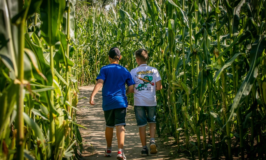 Image 3: Edukacja i rozrywka w sielskiej atmosferze: bilet na Farmę Alexa