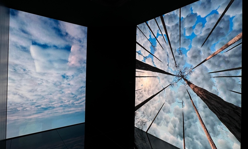 Image 2: Moco Museum: Banksy, Warhol & meer in een villa vol verrassingen