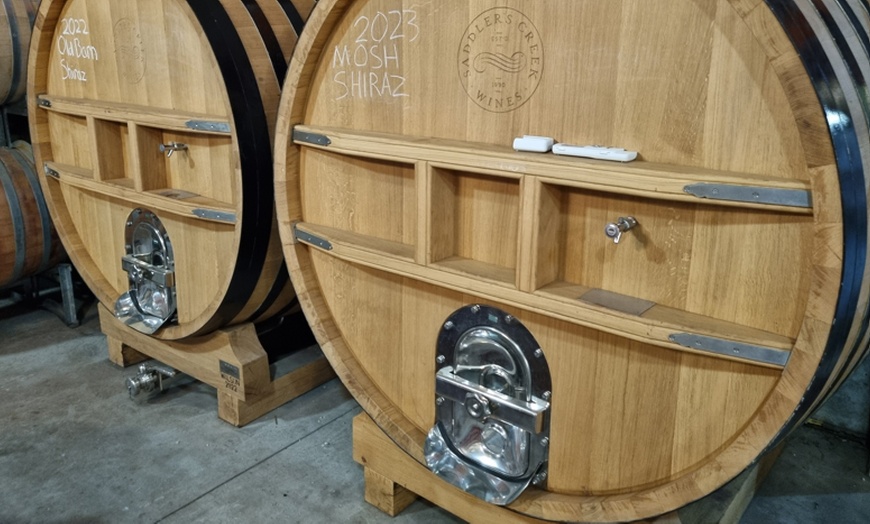 Image 7: Blue Mountains or Hunter Valley Tour: Wildlife, Wine & Scenic Wonders!