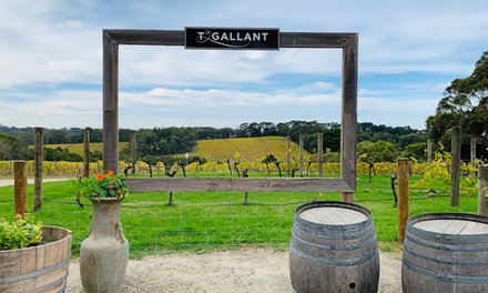 For Two: Wine & Dine – Pizza, Salad, Chips & Wine - T'Gallant Vineyard
