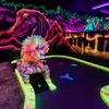 Image 7: 3D Black Light Mini Golf, Pizza & Escape Rooms in Chehalis