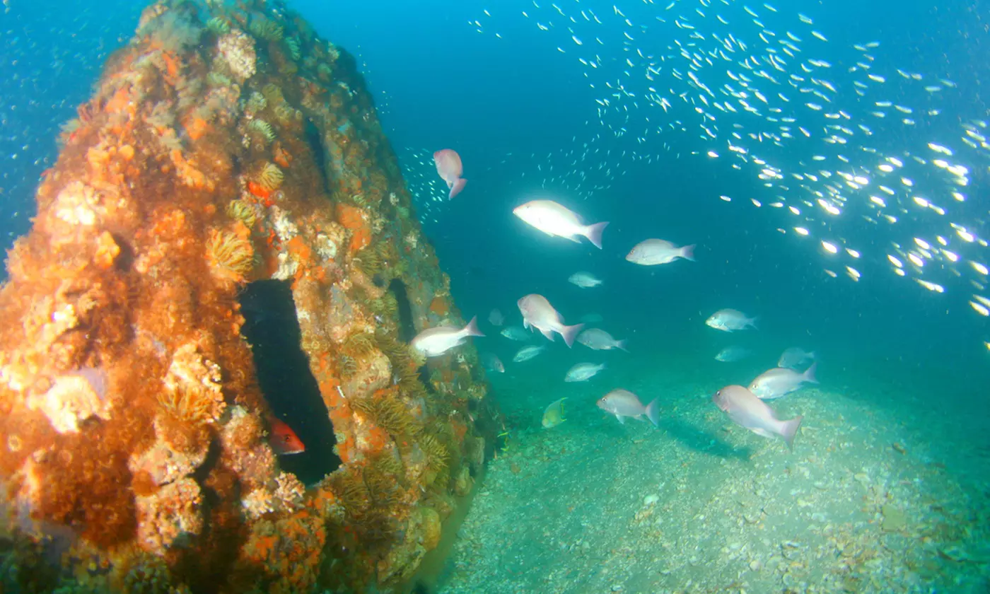 Private Eternal Memorial Reef – Affordable Green Burial at Sea (Up to 56% Off) on Powerboat Rental - Primary Image