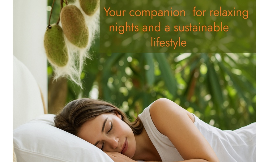 Image 2: Almohada 100 % kapok natural, orgánica. Sampur