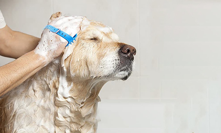 Image 7: Two-in-One Pet Shower Sprayer and Scrubber