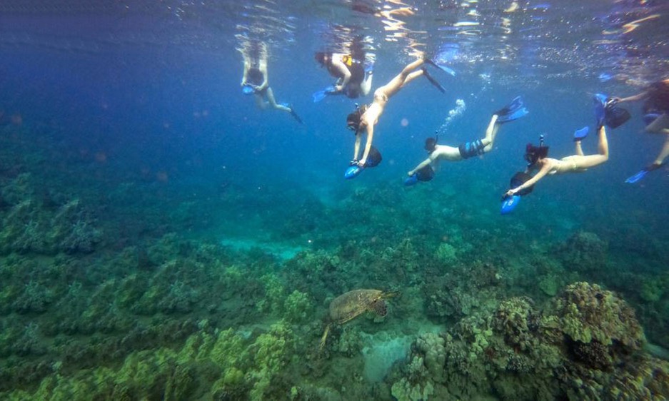 Discover Lahaina Turtle Town with Sea Scooters and Photos