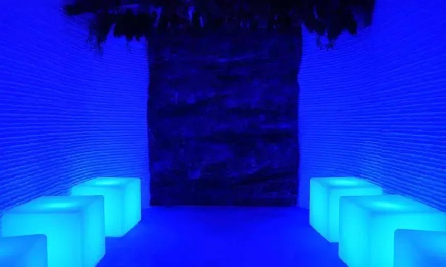 90-Min Sauna, Ice Bath & Ice Room – Solo or Duo Sessions