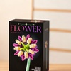 Image 5: DIY Flower Bouquet Building Blocks Set