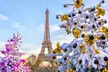 8-Day Christmas Market – Paris & Amsterdam Vacation with Hotels & Air - Second Medium