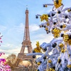 Image 4: ✈ 8-Day Paris & Amsterdam Getaway with Air – From Weekender Breaks