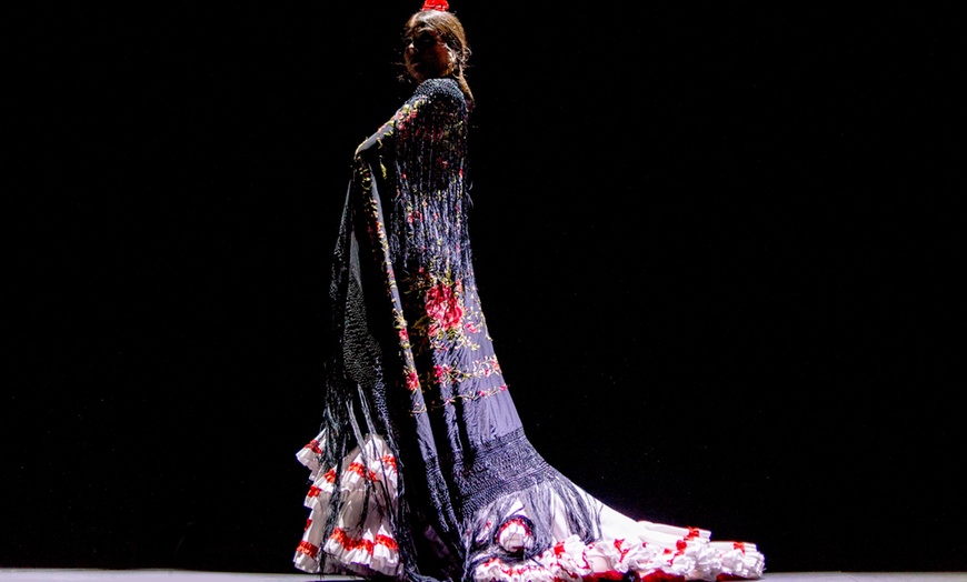 Image 3: Entrada al espectáculo ''Esencia'' en Málaga para 1 persona