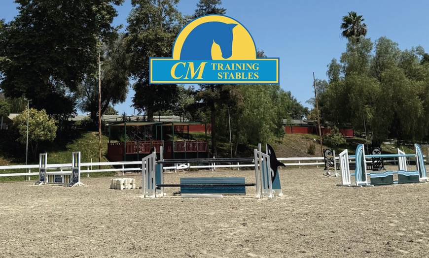 Image 4: Private English Riding Lessons – 45 Minutes