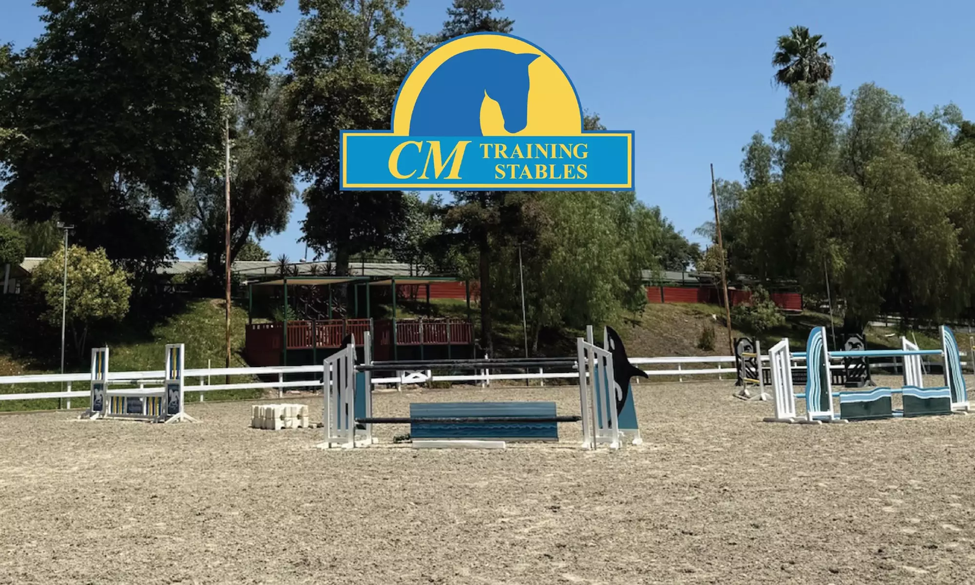 Private English Riding Lessons – 45 Minutes