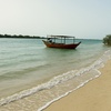 Image 6: Explore Abu Dhabi in 1, 2, 3, or 4 Hour Tours for Up to 12 Guests