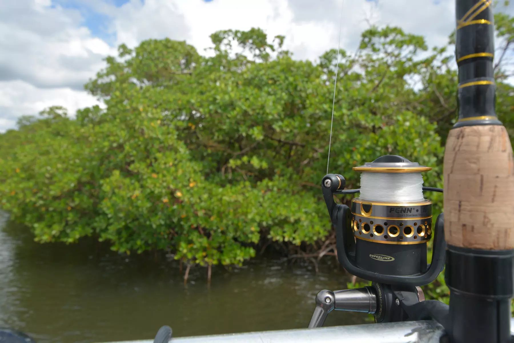 Up to 33% Off Coastal and Calm Bay Fishing from Pure Florida