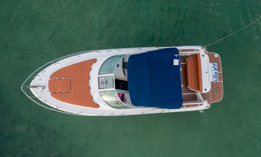 Image 12: Luxury Private Boat Tours for  Twelve at Miami Blusee Charters