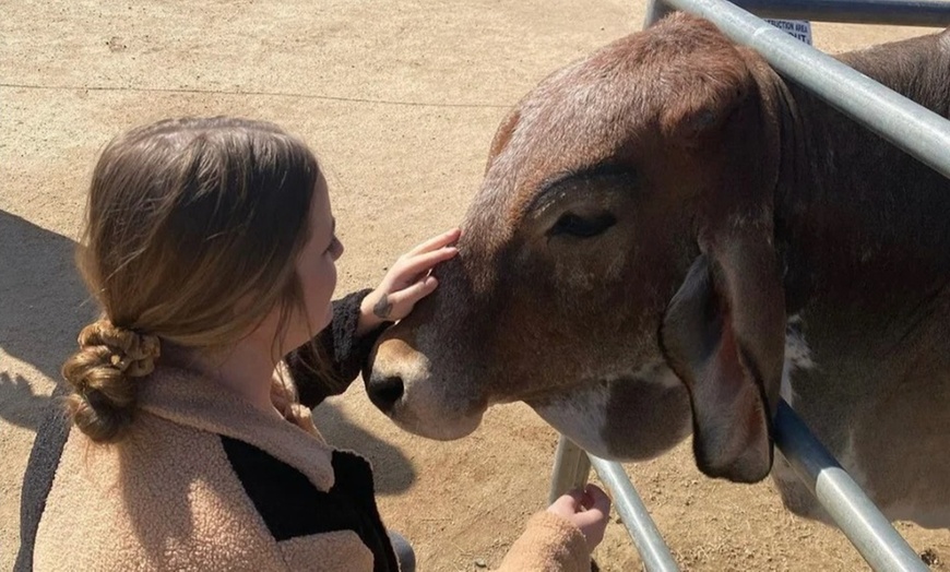Image 3: Up to 25% Off Zoo Admission & Chocolates at Sugarplum Zoo