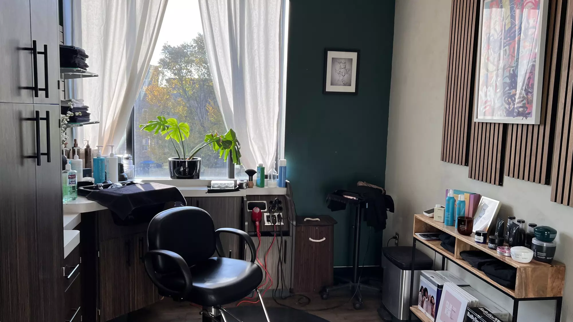 Hair Cut and Style with Deep Conditioning Treatment, and More