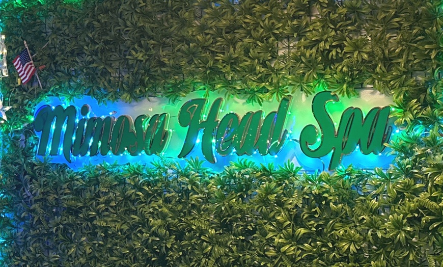 Image 20: 90 Min Deluxe Head Spa w/Massage + Organic Mini-Facial for 1 or 2