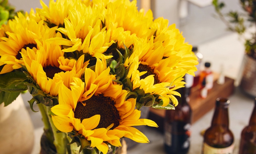 Image 6: Next Day Delivery Fresh Flowers & Gifts from 1-800-Flowers.com (up to 55% off)