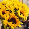 Image 6: Next Day Delivery Fresh Flowers & Gifts from 1-800-Flowers.com (up to 55% off)