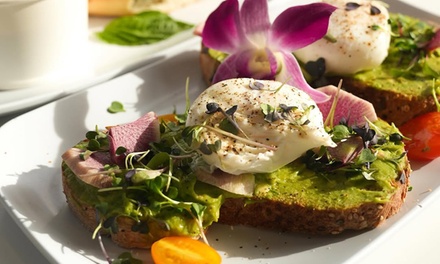 $15 Voucher toward any Café items - Carrera Cafe