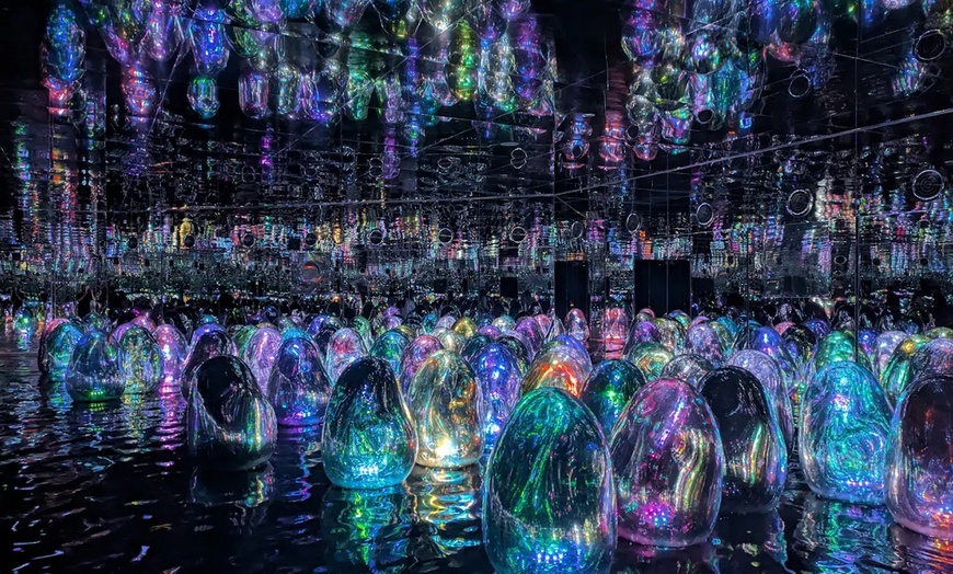 Image 2: Explore TeamLab Phenomena General Admission for Adults and Youths