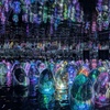 Image 3: Explore TeamLab Phenomena General Admission for Adults and Youths