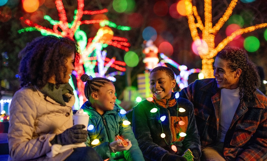 Image 2: Dutch Winter Wonderland Admission