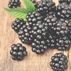 Image 5: Blackberry Growers Choice Blackberry Cultivars