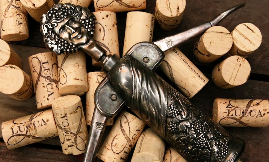 Image 6: Get a Wine Tasting Experience for Two, Four, or Six & Bottle Credits