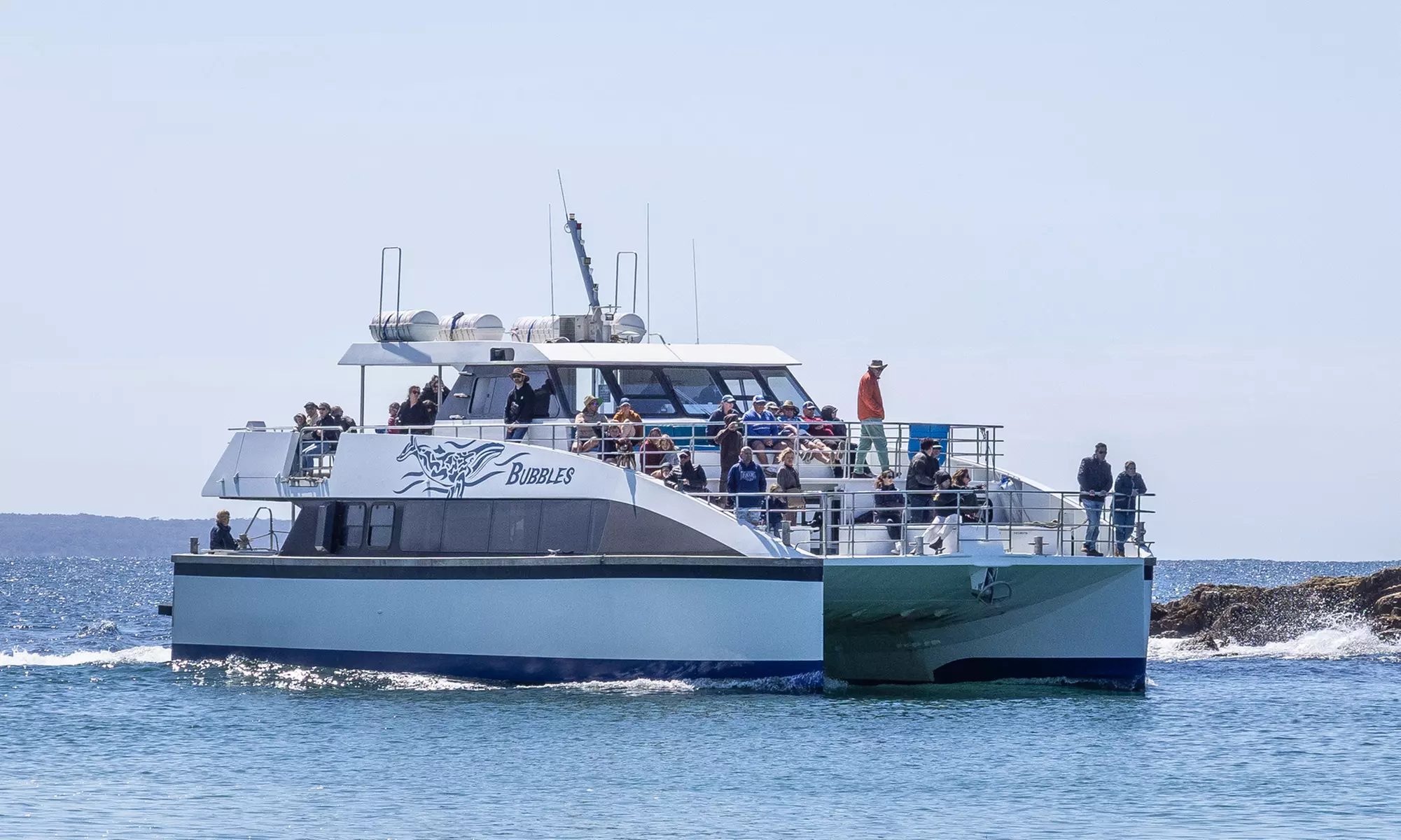 Weekday/Weekend Express 3 Hour Whale Watching Cruise with Refreshments