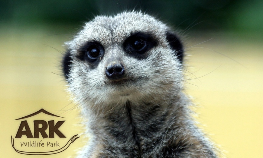 Image 1: ARK Wildlife Park Entrance Tickets – Fun for All Ages