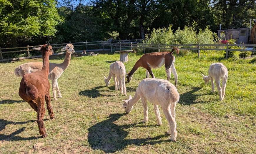 Image 10: Wildlife & Meadow Park Fun – Tickets for 2, 3, 4 or 6