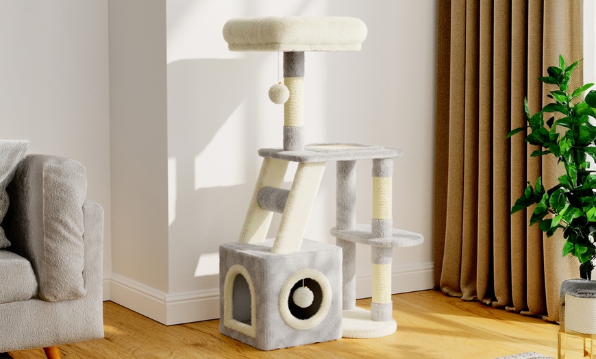 Image 2: Arbre à chat à plusieurs niveaux