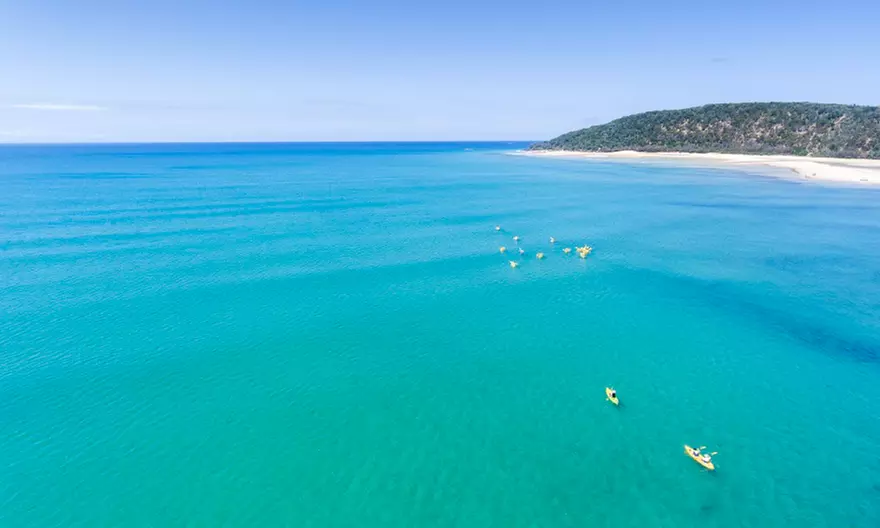 Dolphin-View Kayak Tour or Private Day Tour to Double Island Point