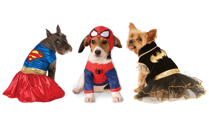 Superhero Halloween Costumes for Dogs | Groupon