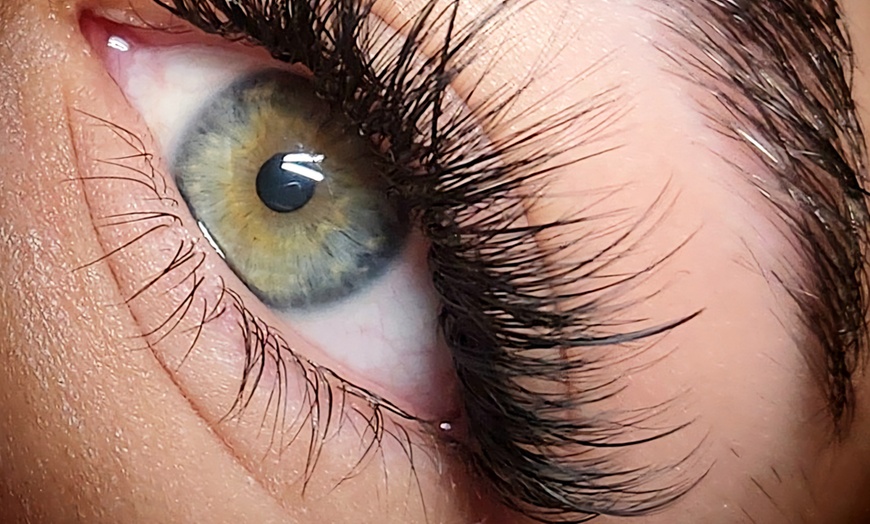 Image 5: Transform Your Look: Perfectly Shaped Brows and Lashes Await You!