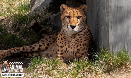 General Admission + Bucket Feed for 2 people - Animal Adventure Park