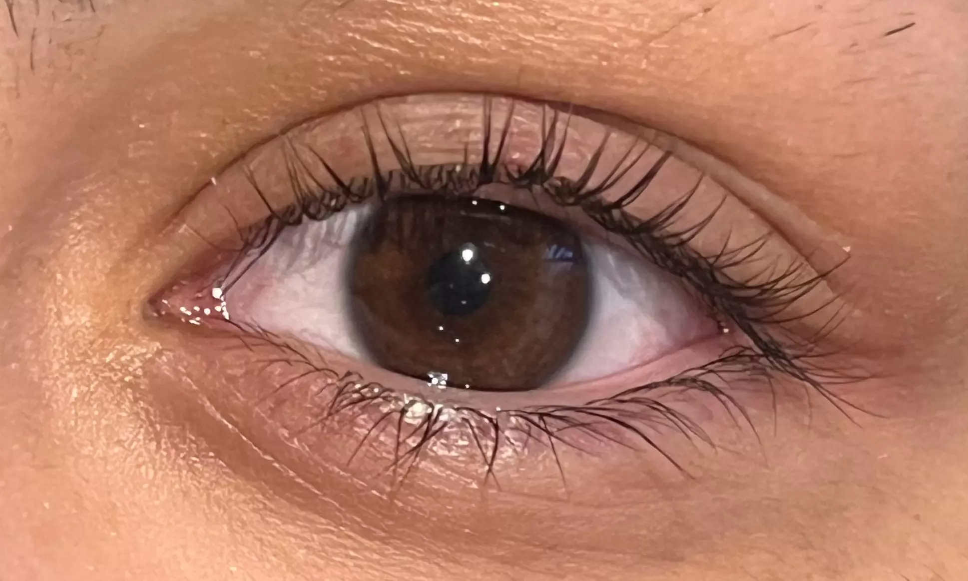 Transform with Brow Lamination With Tint, or Lash & Brow Bundle