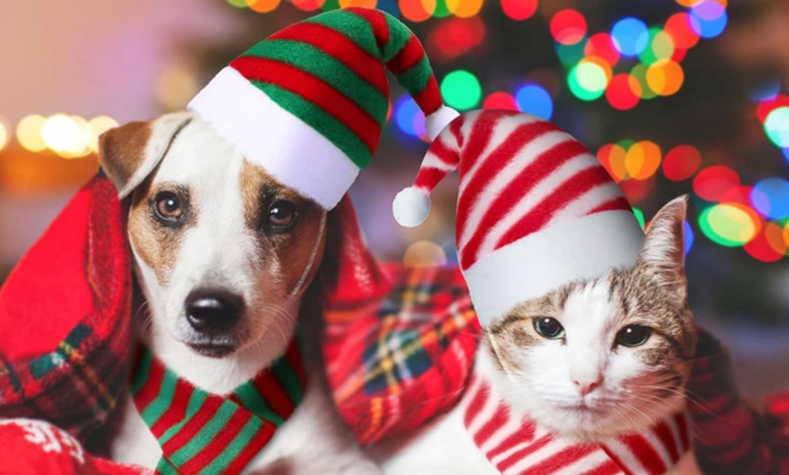 Image 1: Set da 6 pezzi con sciarpe e capelli natalizi per animali 