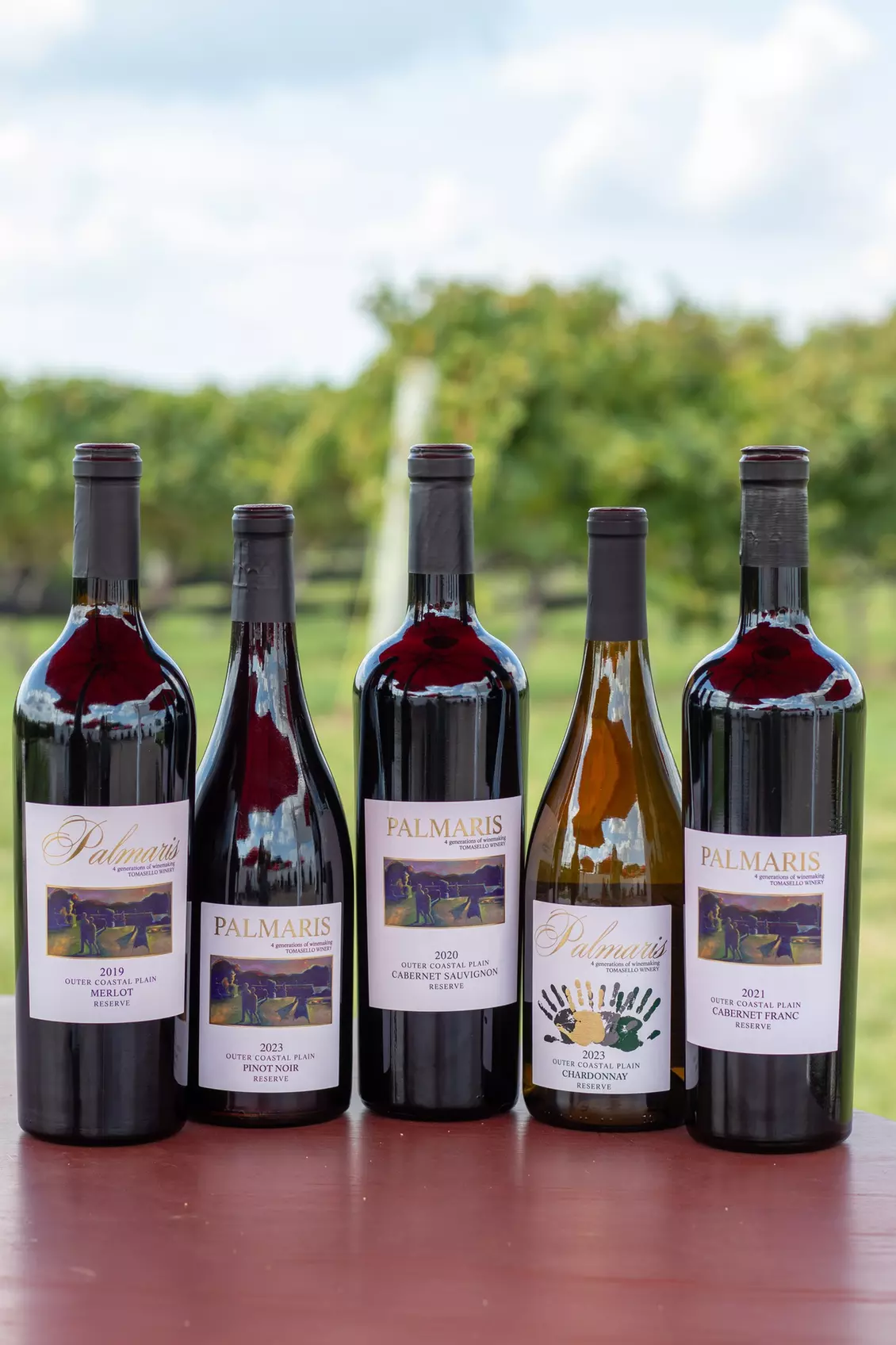 Experience Wine Tasting with Souvenirs, and Bottles at 8 Locations