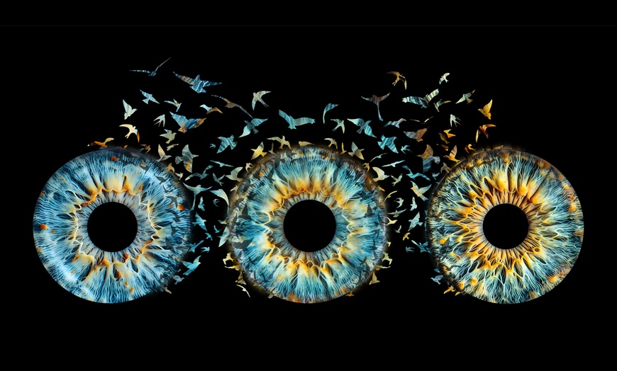 Image 3: Custom Iris Photo Art For Couples, Families or Pets