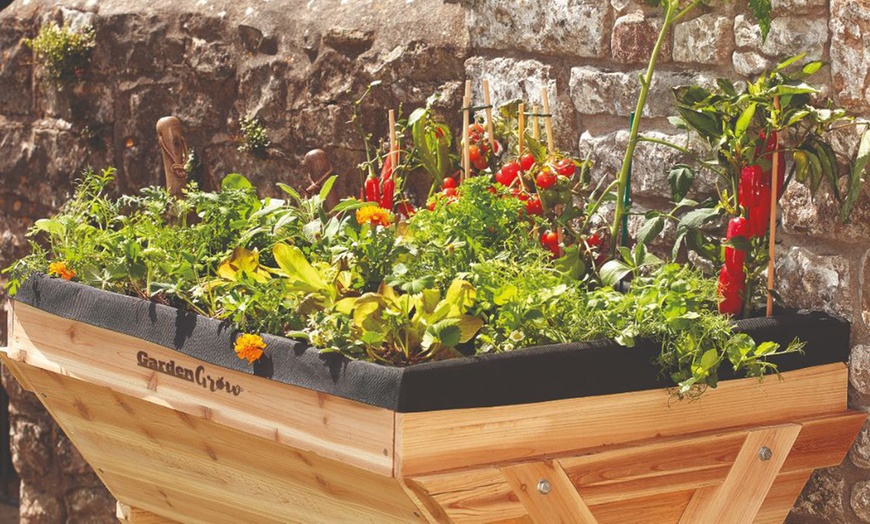 Image 30: Garden Grow Raised Wooden Cold Frame