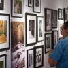 Image 6: Florida Museum of Photographic Arts Exhibitions