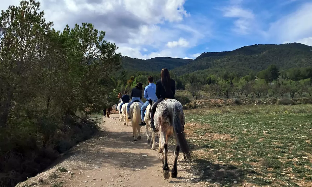 50% de dto. en Equitación - Actividad recreativa en MAIGMO