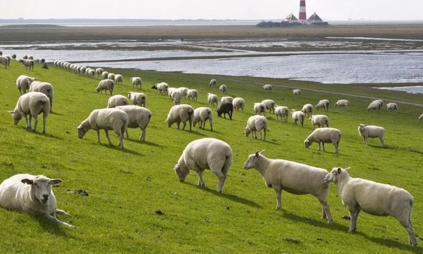 Image 16: Tönning: 2-5 Nächte mit Frühstück, Early Check-in & Late Check-out